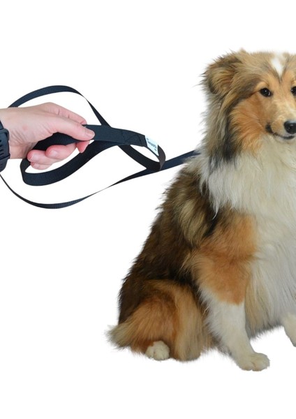 Köpek Gezdirme Ipi fırsatları