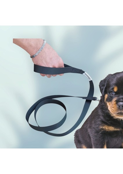 Köpek Gezdirme Ipi indirimleri