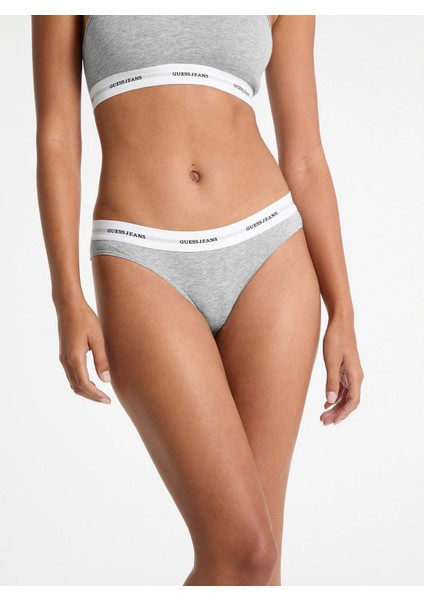 Gj Brief Kadın Gri Modal Karışımlı Brief Külot W4BZ30KBBU1-H90Z modelleri