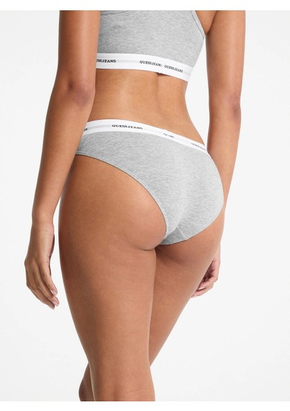 Gj Brief Kadın Gri Modal Karışımlı Brief Külot W4BZ30KBBU1-H90Z fırsatları