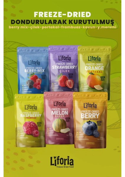 6’lı Dondurulmuş Meyve - Sağlıklı Atıştırmalık - Çilek Kavun Portakal Frambuaz Berry Mix Y.mersini