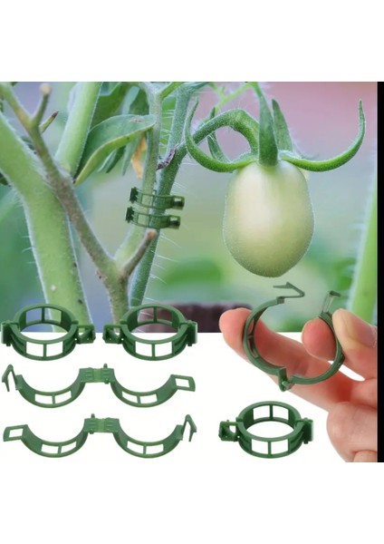 Bahçe Klipsi Dayanıklı Domates Biber Bitki Destek Klipsi Asma Bitkilerine, Sebzelere 10 Adet