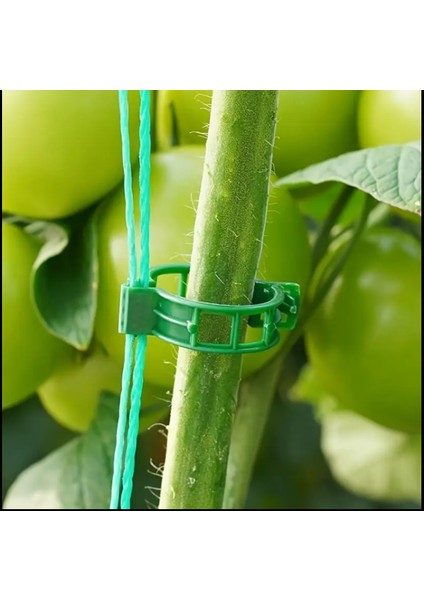 Bahçe Klipsi Dayanıklı Domates Biber Bitki Destek Klipsi Asma Bitkilerine, Sebzelere 10 Adet modelleri