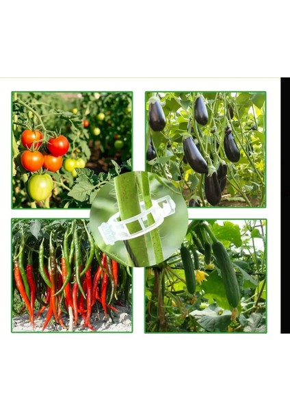Bahçe Klipsi Dayanıklı Domates Biber Bitki Destek Klipsi Asma Bitkilerine, Sebzelere 10 Adet fırsatları