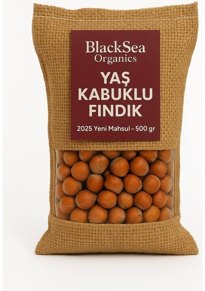2025 Yeni Mahsul Kabuklu Fındık 500 gr