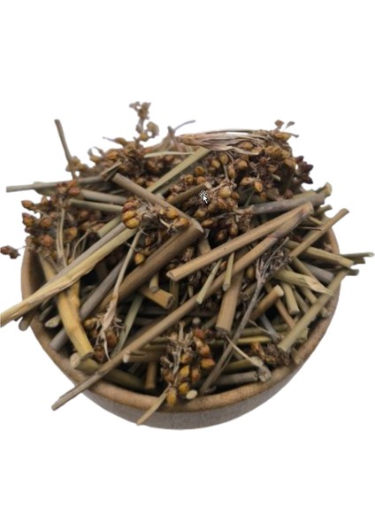 Kayışkıran Otu 25 gr fiyatları