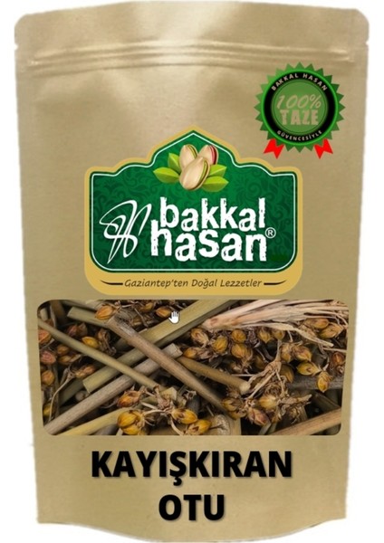 Kayışkıran Otu 25 gr modelleri