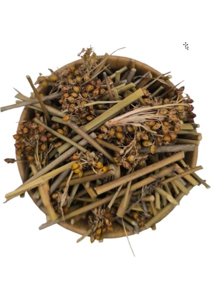 Kayışkıran Otu 25 gr indirimleri