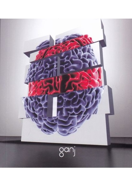 Yaşam Üzerine Yorumlamalar Cilt 2