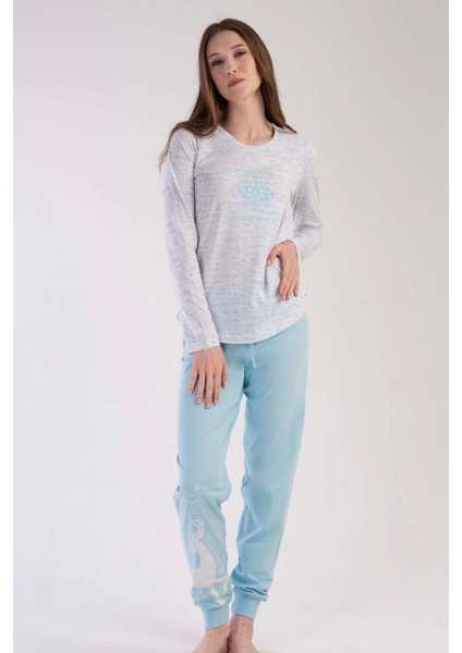 K303123 Vienetta modelleri