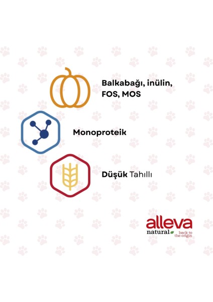 Natural Tavuk & Balkabağı Düşük Tahıllı Maxi Yetişkin Köpek Maması 2 kg fiyatları