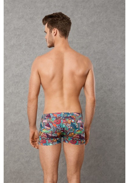 Patchwork, Desenli Erkek Boxer 1807 fiyatları