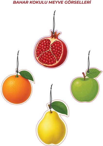 4 Adet Büyülü Meyveler Bahar Kokulu Araba Kokusu Oto Kokusu ve Oto Aksesuarı