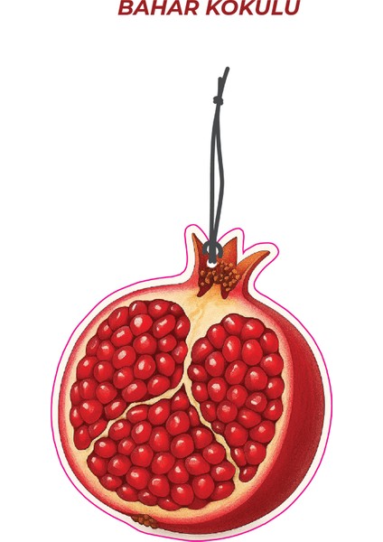 4 Adet Büyülü Meyveler Bahar Kokulu Araba Kokusu Oto Kokusu ve Oto Aksesuarı fiyatları
