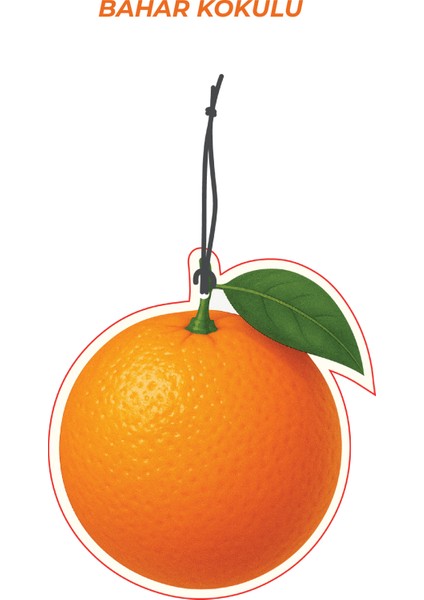 4 Adet Büyülü Meyveler Bahar Kokulu Araba Kokusu Oto Kokusu ve Oto Aksesuarı modelleri