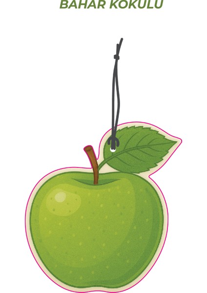 4 Adet Büyülü Meyveler Bahar Kokulu Araba Kokusu Oto Kokusu ve Oto Aksesuarı fırsatları