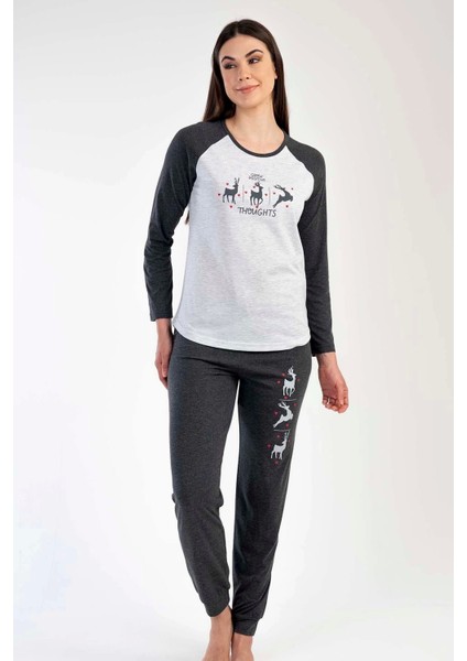 K304101 Vienetta modelleri