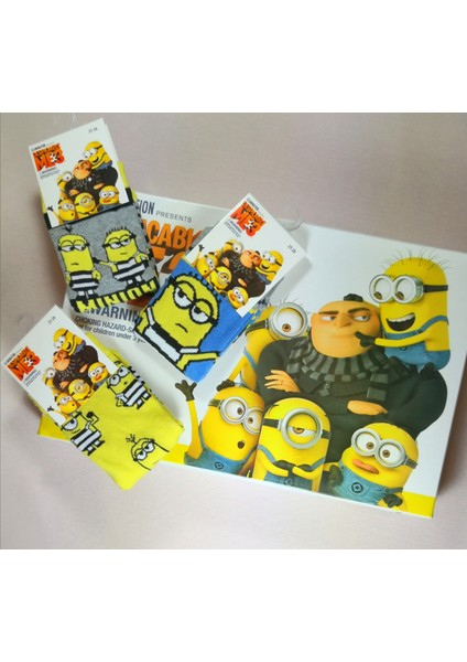 Walt Disney Despicable Me Erkek Çocuk Çorap