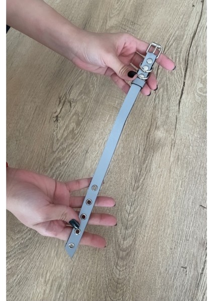 CLZ41 Kedi Harness , Karanlıkta Yansıyan Kedi Tasmasi - Ürün Rengi:beyaz