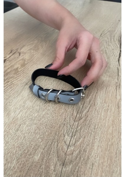 CLZ41 Kedi Harness , Karanlıkta Yansıyan Kedi Tasmasi - Ürün Rengi:beyaz modelleri