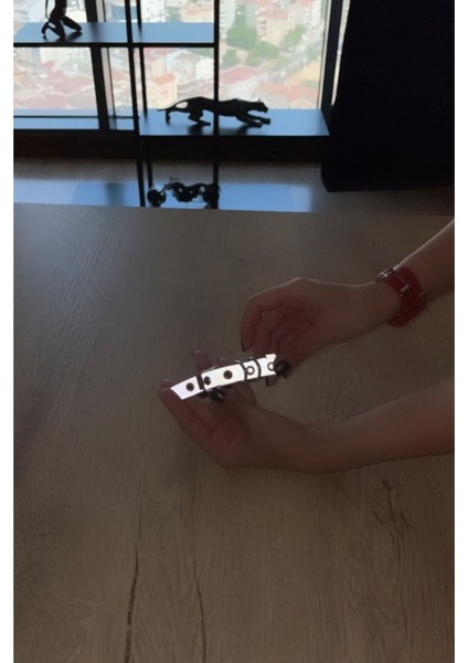 CLZ41 Kedi Harness , Karanlıkta Yansıyan Kedi Tasmasi - Ürün Rengi:beyaz fırsatları