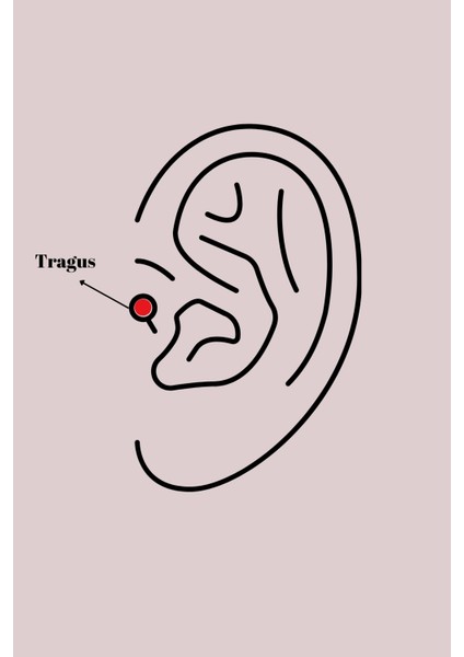 Bfs 316L Çelik Gümüş Renk Zirkon Taşlı Kelebek Tragus Piercing fiyatları