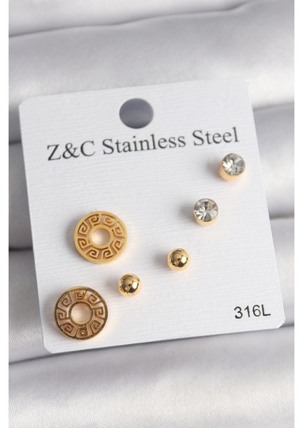 316L Çelik Gold Renk Zirkon Taşı Labirent Model Kadın Küpe Seti - TJ-BKP10011