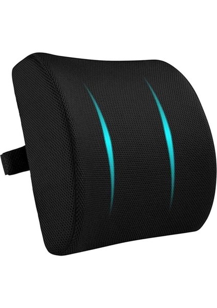Apexstor Ortopedik Visko Koltuk Minderi Sırt Destek Yastığı Araç Sandalye Bel Sırt Desteği Yastığı