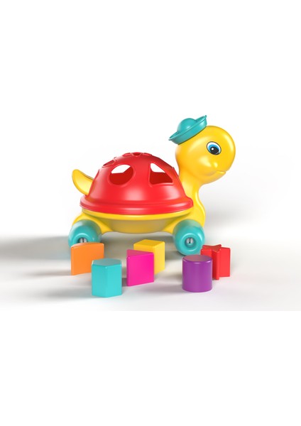 Kaplumbağa Bul Tak modelleri