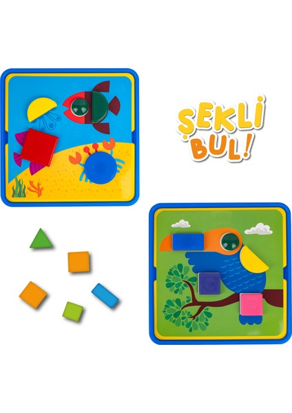 Şekli Bul fiyatları