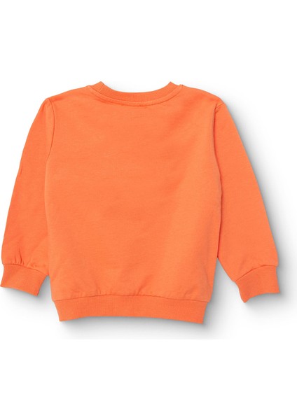 Erkek Bebek Basic Sweatshirt Şardonlu Bisiklet Yaka Uzun Kol fiyatları