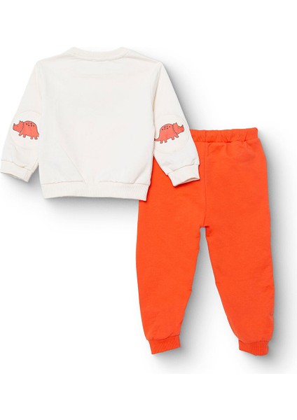 Erkek Bebek Cool Dino Eşofman Takımı Şardonlu Bisiklet Yaka Uzun Kol Ribanalı Paça fiyatları