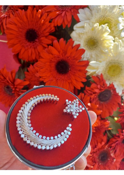 Ay Yıldız Dikiz Aynası Süsü fiyatları