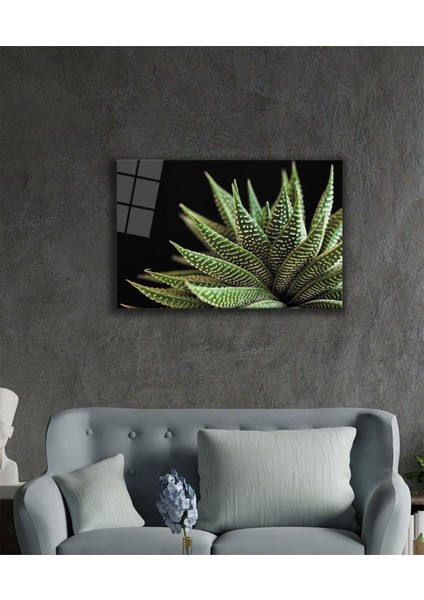 Siyah Arka Fon Aleovera Çiçek 4 mm Dayanıklı Cam Tablo Temperli Cam, Black Background Aloe Vera Flowe fiyatları