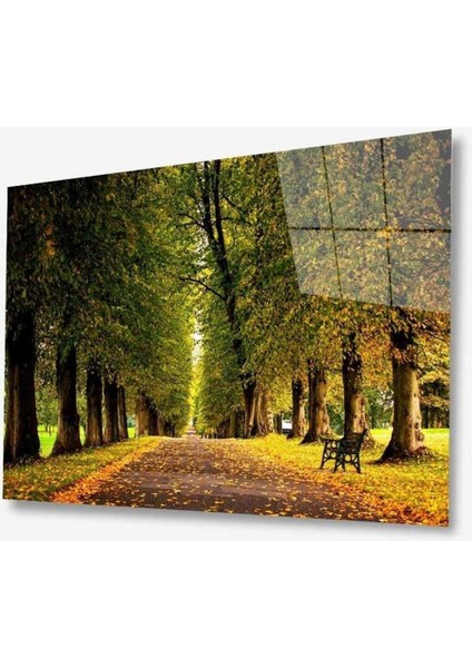 Doğa Cam Tablo 4 mm Dayanıklı Temperli Cam