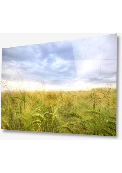 Doğa Cam Tablo 4 mm Dayanıklı Temperli Cam