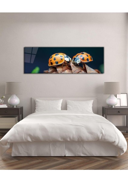 Uğurböcekleri Panoramik Cam Tablo Hediyelik Büyük Tablo Ev Ofis Dekoru modelleri