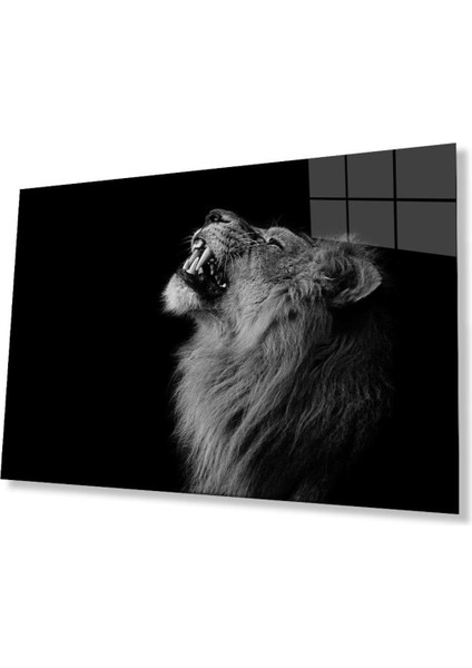 Aslan Cam Tablo 4 mm Dayanıklı Temperli Cam