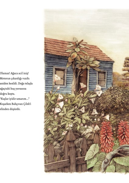 Komşudaki Tiyatro - Sonja Danowski