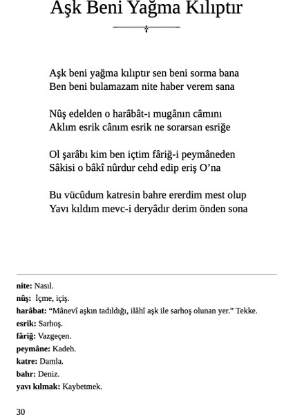 İznikli Büyük Bilge Eşrefoğlu Rumi - Ali Cançelik