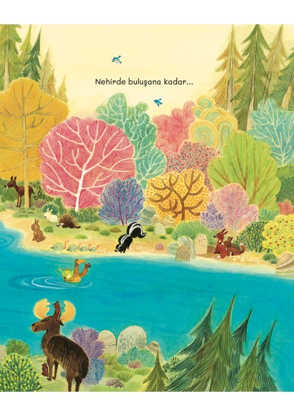 Ayı Geldi (Ciltli) - Richard T. Morris