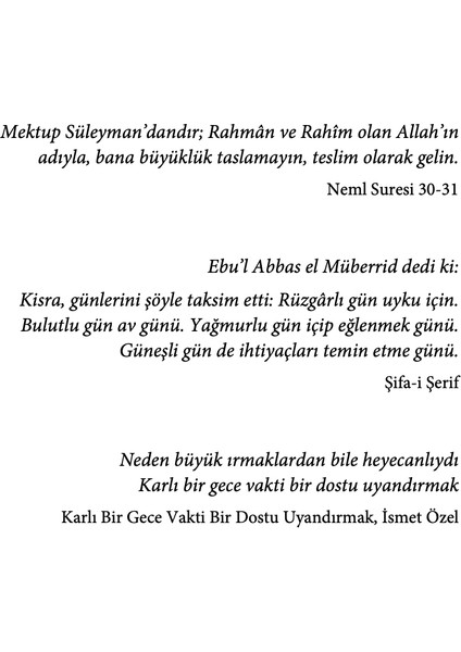 Karlı Bir Gece Vakti - İsmail Özen fırsatları