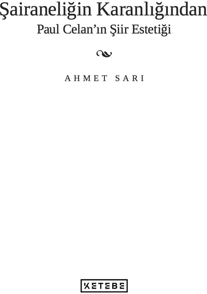 Şairaneliğin Karanlığından - Ahmet Sarı modelleri