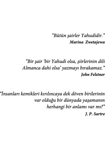 Şairaneliğin Karanlığından - Ahmet Sarı fırsatları