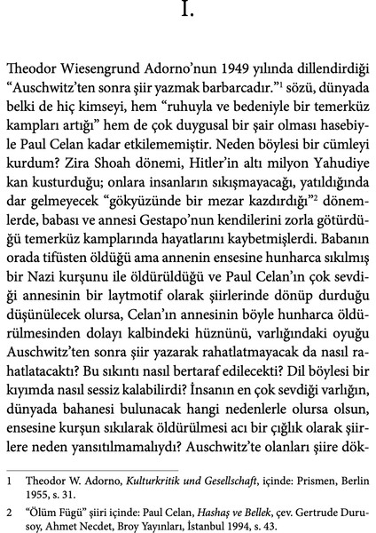 Şairaneliğin Karanlığından - Ahmet Sarı