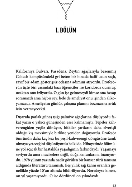 Feynman'ın Gökkuşağı - Leonard Mlodinow modelleri