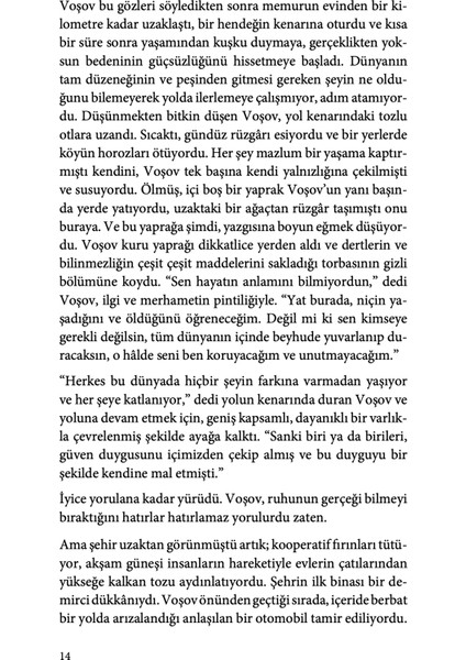 Çukur - Andrey Platonov