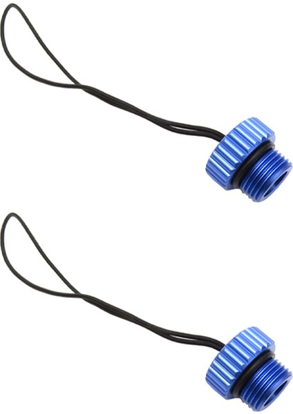 2x Scuba Dalış Din Tank Valfi Dişli Kapak 5/8-14NPS Toz Kapağı Toz Tapası Koruyucu Tank Regülatör Kapak Mavi (Yurt Dışından)