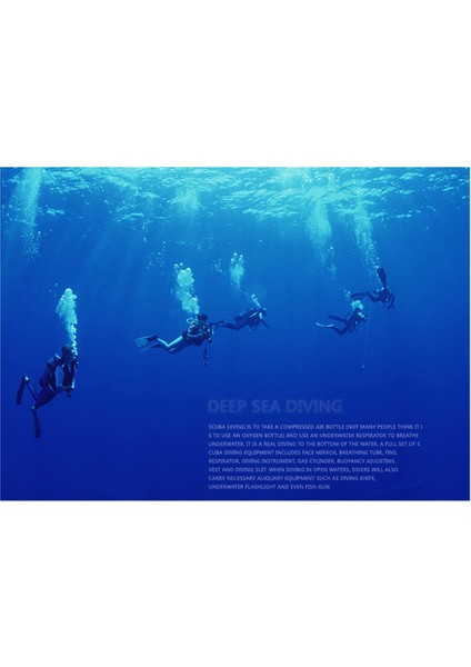 Dalgıç Solunum Regülatörü Iki Aşamalı Kafa Regülatör Basıncı Indirgeyici Valf Regülatörleri Solunucu Dalış Malzemeleri (Yurt Dışından) indirimleri