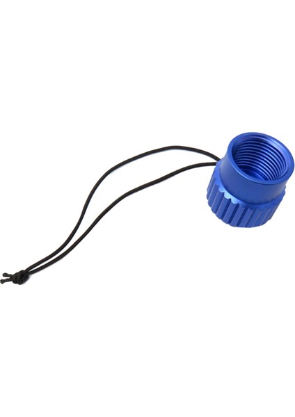 2x Tüplü Dalış Dişli Toz Kapağı Fiş Kapağı Din 5/8-14NPS Toz Kapak Tank Valfi Uç Kapak Aksesuar Parçası Mavi (Yurt Dışından) modelleri